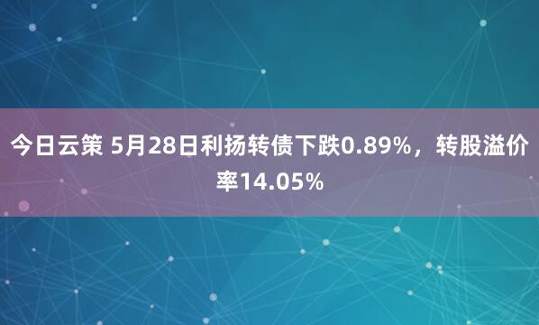 今日云策 5月28日利扬转债下跌0.89%，转股溢价率14.05%