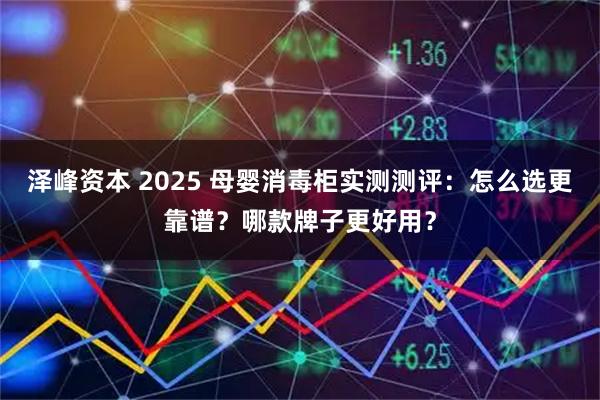 泽峰资本 2025 母婴消毒柜实测测评：怎么选更靠谱？哪款牌子更好用？