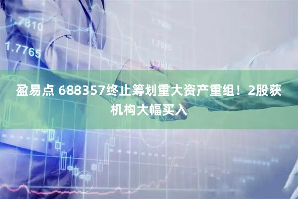 盈易点 688357终止筹划重大资产重组！2股获机构大幅买入
